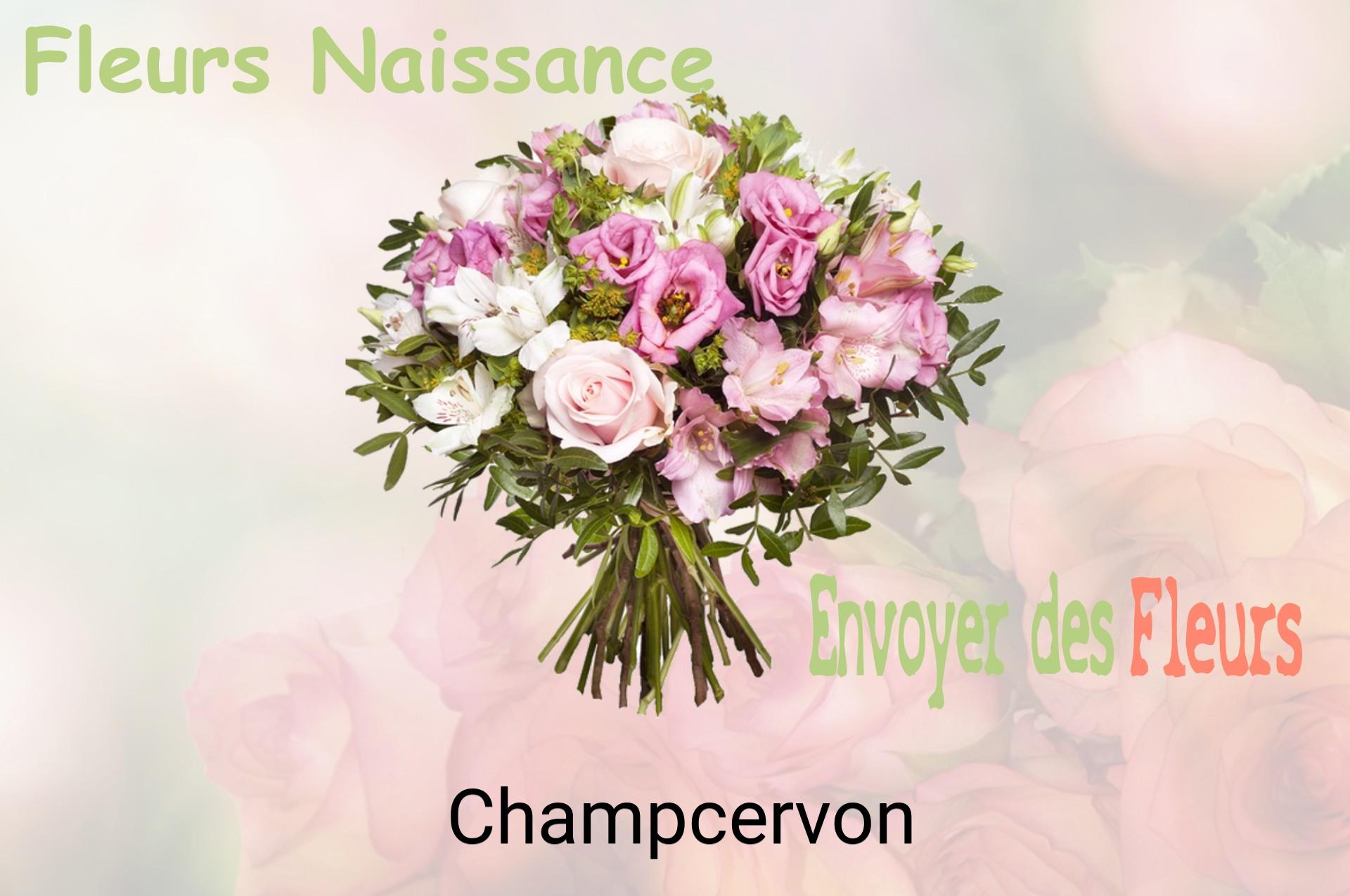 Bouquet de fleurs de naissance livré à Champcervon