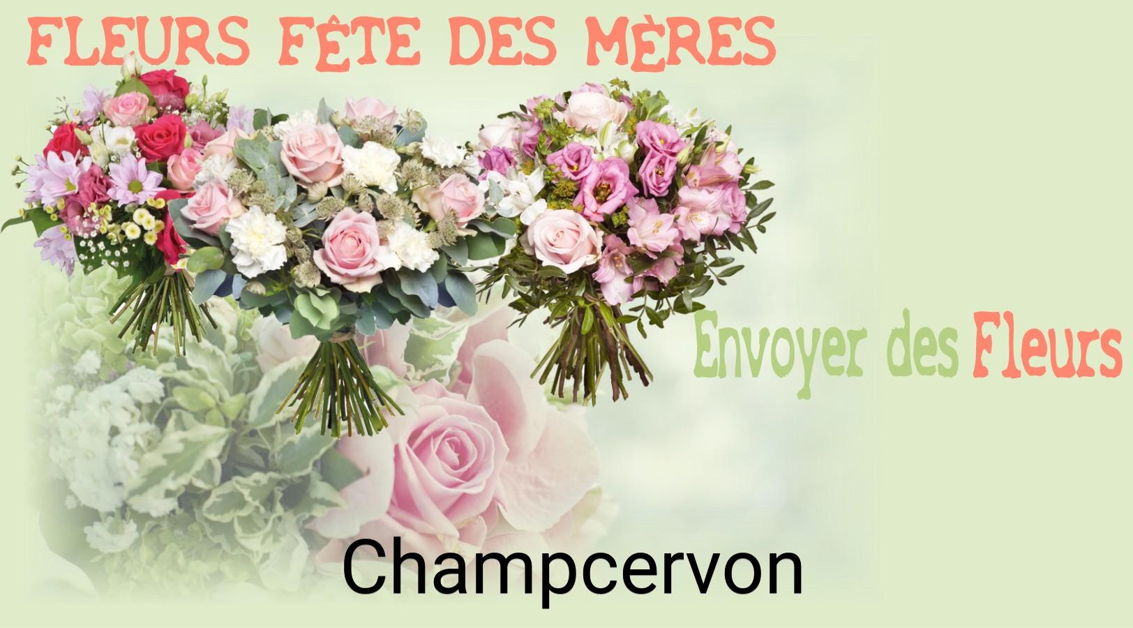 Bouquet de Fête des Mères livré à Champcervon